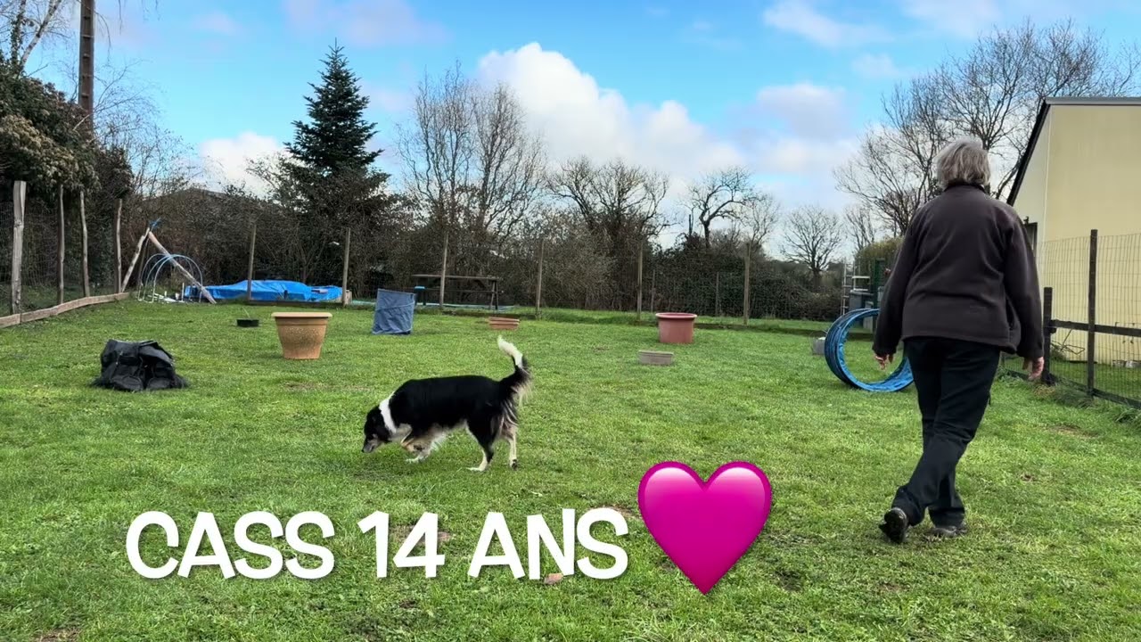 Séance de Détection Olfactive offerte*