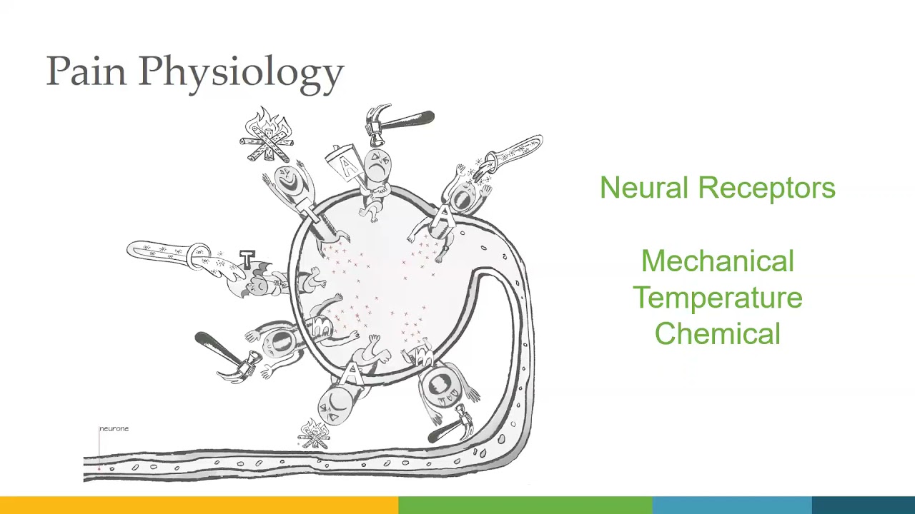 QLI Chronic Pain Webinar