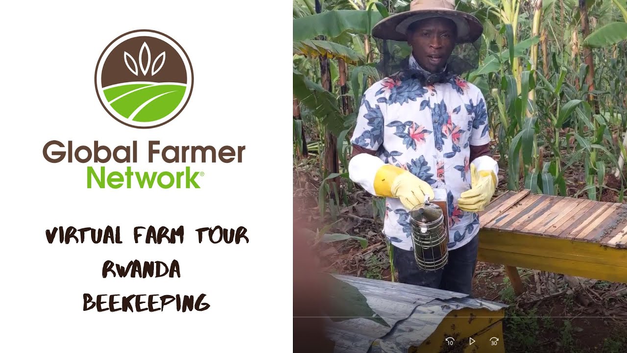 Pacifique Nshimiyimana Rwanda VFT Beekeeping