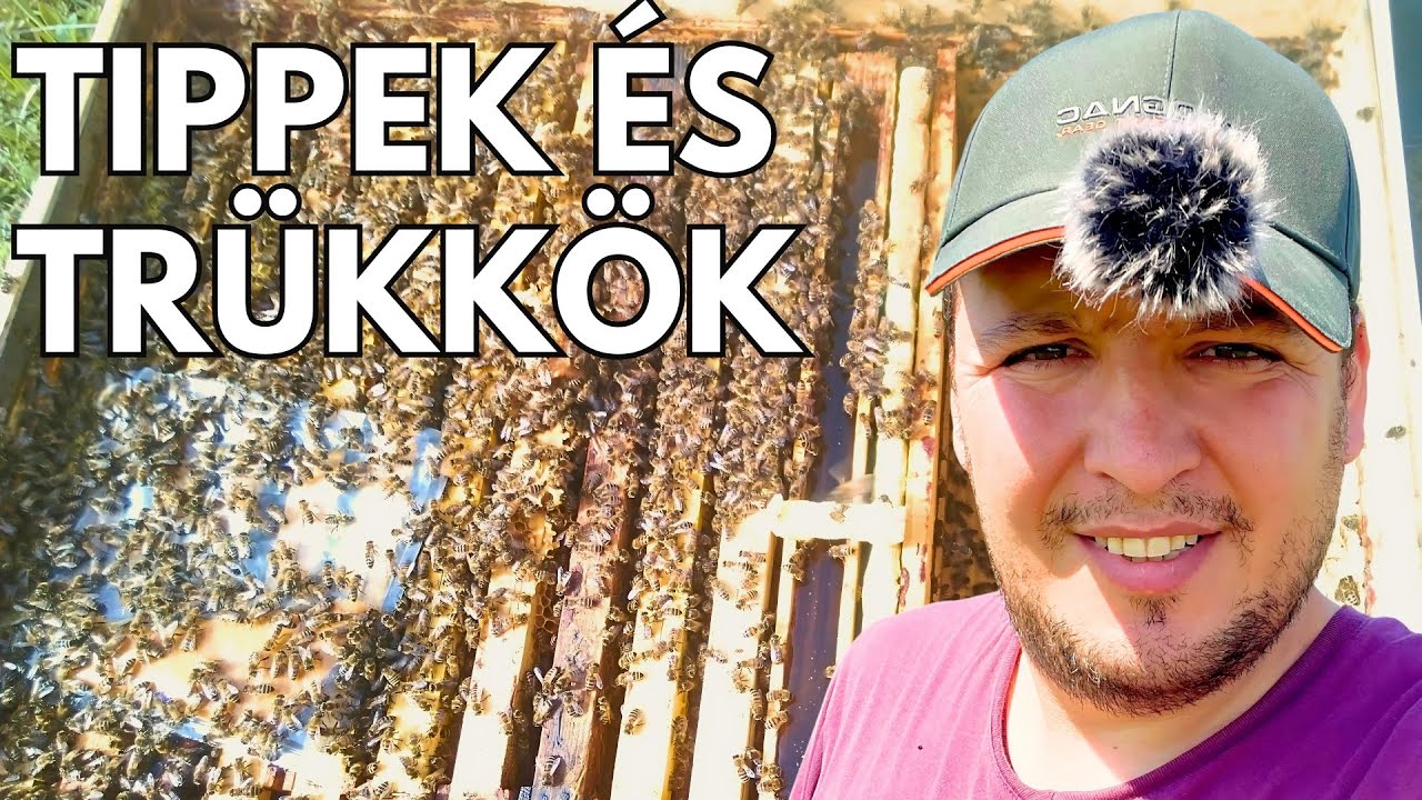 Hogyan Hozz Létre 20 Új Méhrajt? Lépésről Lépésre!