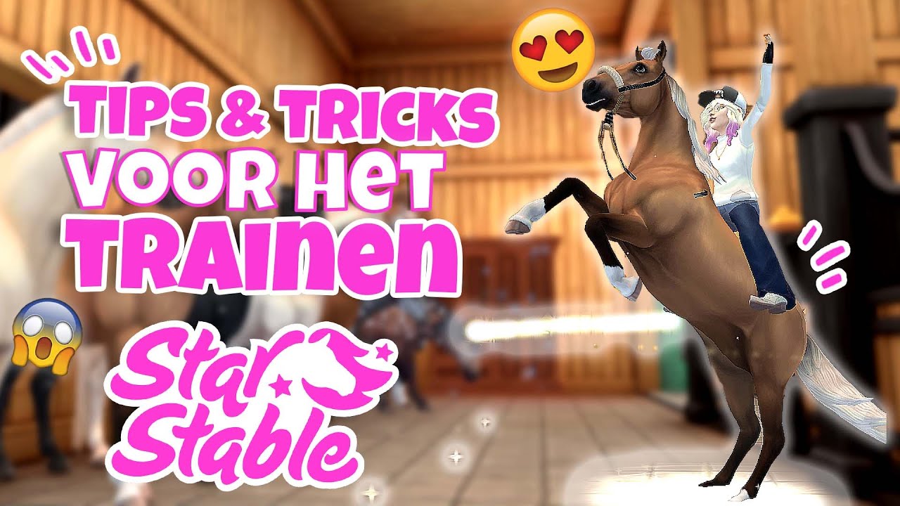 IN 1 DAG JE PAARD TRAINEN DOE JE ZO! MIJN ROUTINE | SSO Trainguide 2024 (nl)  | wolfxjessy