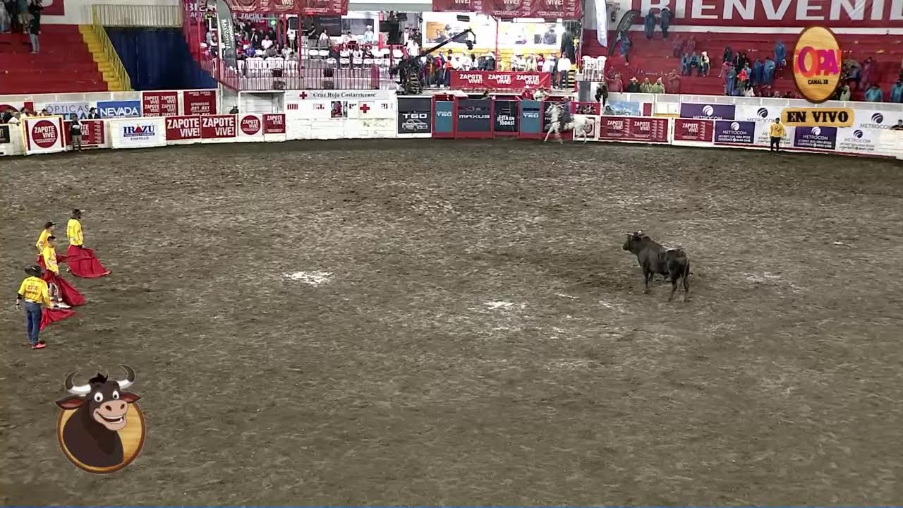 🔴🎥 #EnVivo Toros de Zapote 3:00 pm  | 29 diciembre 2023.