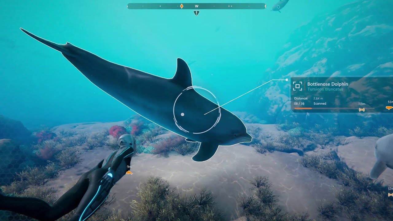 Beyond Blue Gameplay (PC Game)