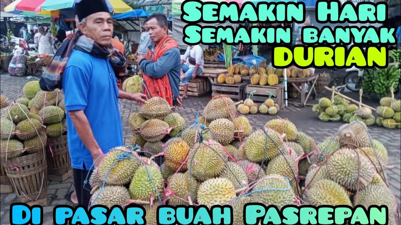 RAME banget pengunjung dan Banjir Durian di pasar buah Pasrepan kabupaten Pasuruan Jawa Timur 