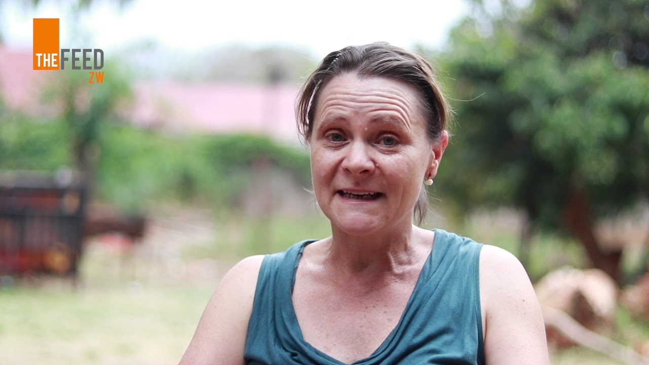 Zimbabwean Voices On Climate Change For COP26 | TheFeedZW
