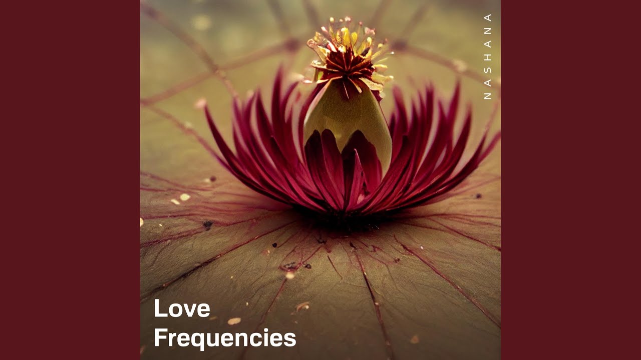 Conexi&oacute;n Interior