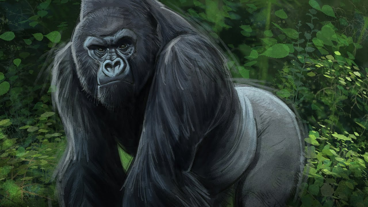 Speed Paint - Photoshop Silverback