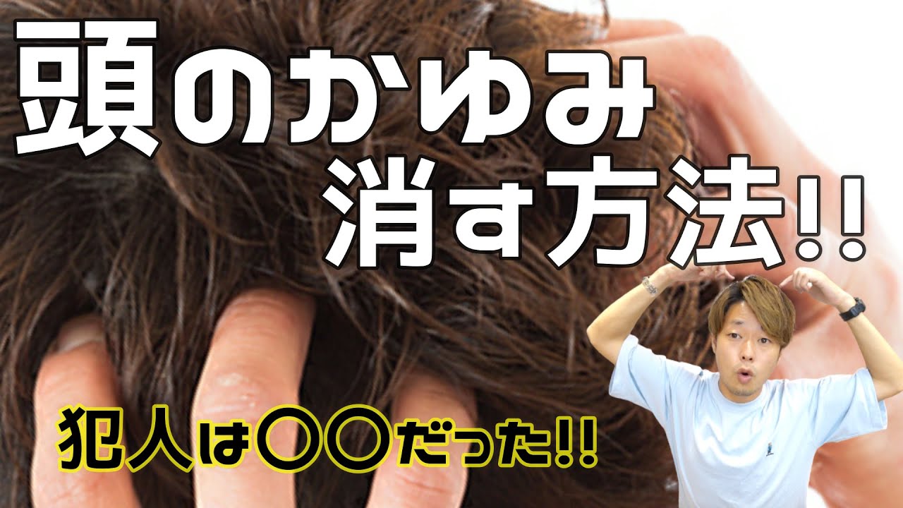 【痒み改善】頭がかゆい人必見！美容師も知らないかゆみを消す方法！！原因と対策！！