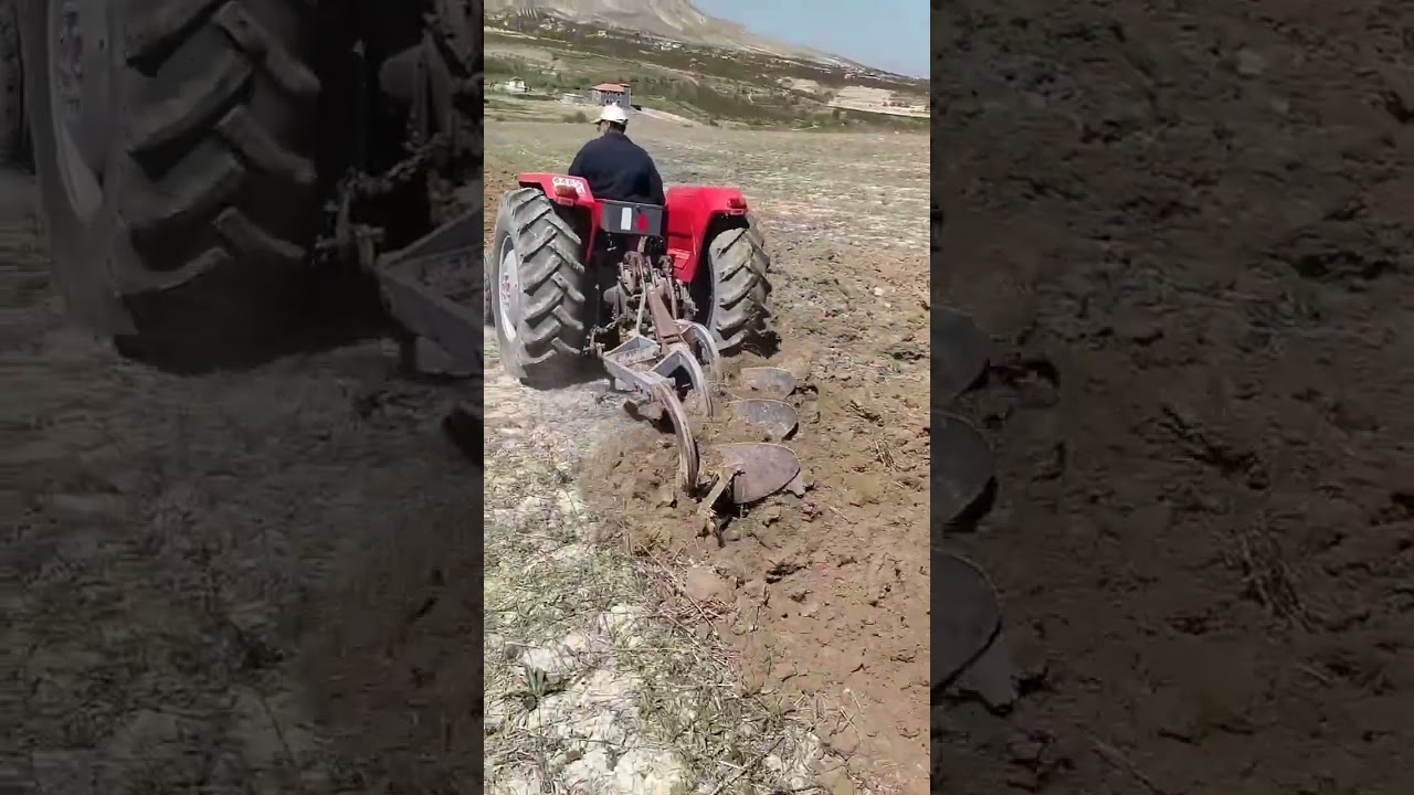 Massey Ferguson 165 - 1976 model 212 İngiliz çift sürme , Yük taşıma derleme