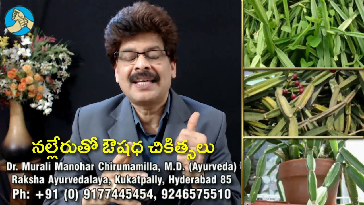 కీళ్ల నొప్పిని తగ్గించే నల్లేరు