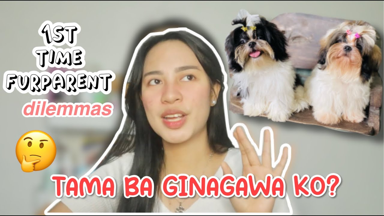 TAKING CARE OF SHIH TZU PUPPIES (that nobody told you 🤫)