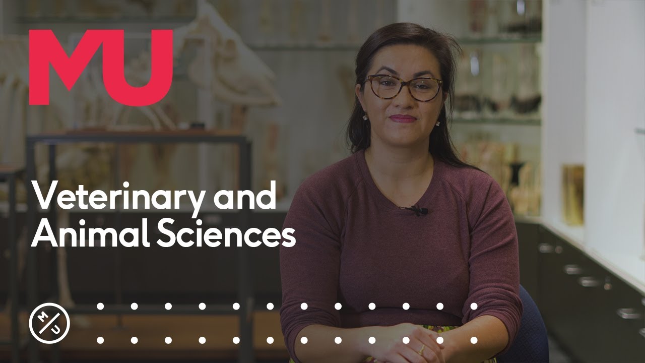 Why study Veterinary and Animal Sciences at Murdoch
