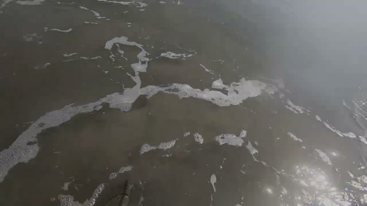 Digging clams for bait