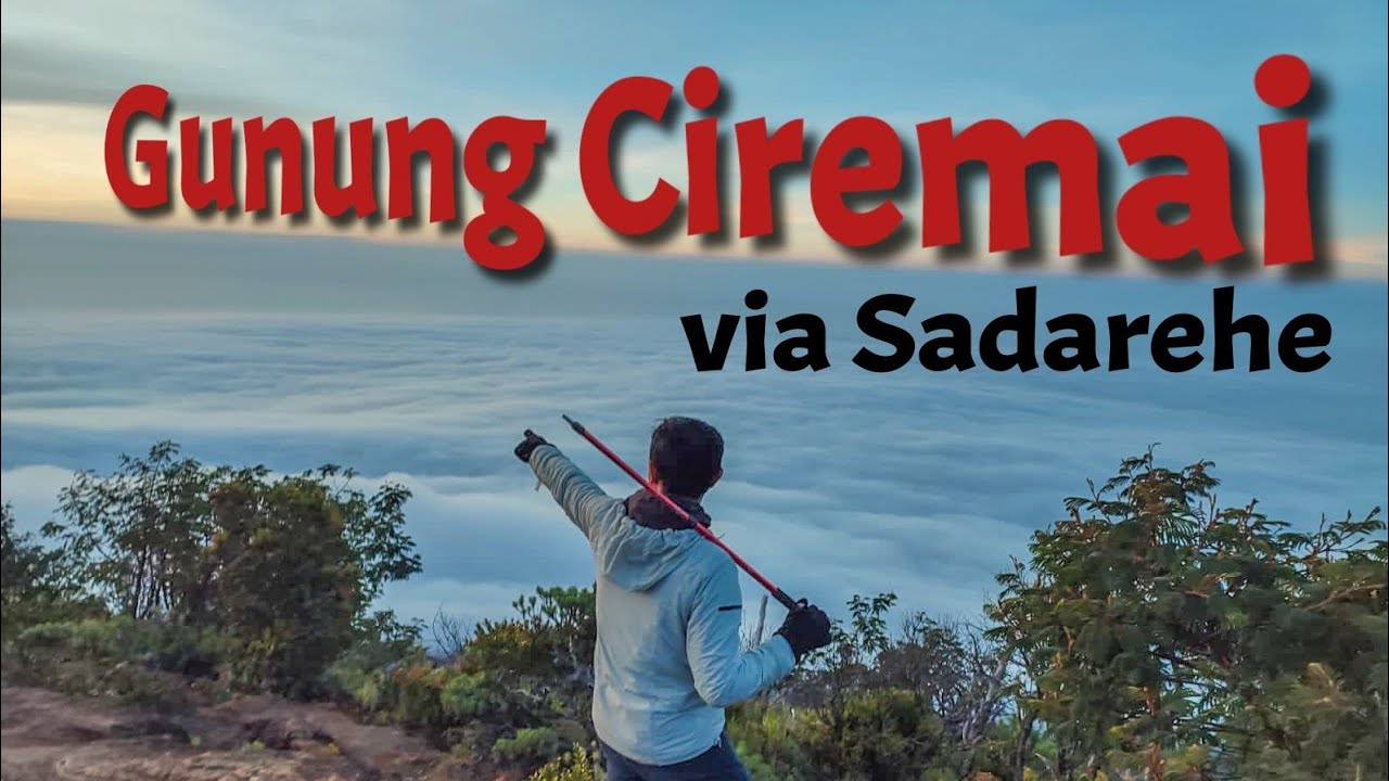 Full review jalur pendakian gunung Ciremai via Sadarehe || Edelweiss sejauh mata memangdang