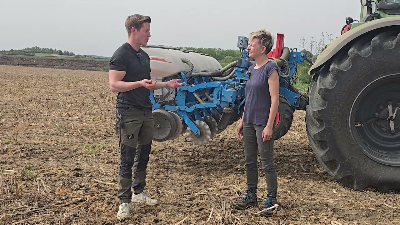 So gelingt Direktsaat von Zuckerrübe Teil 1 Voraussetzungen