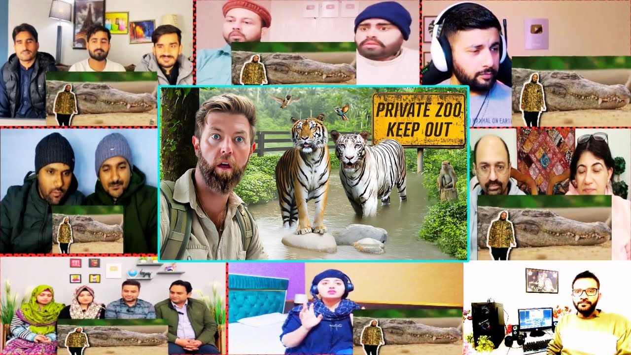 Private Tour of an Indian Billionaire’s Secret Wildlife Rescue Center | @reliancevantara | Reaction