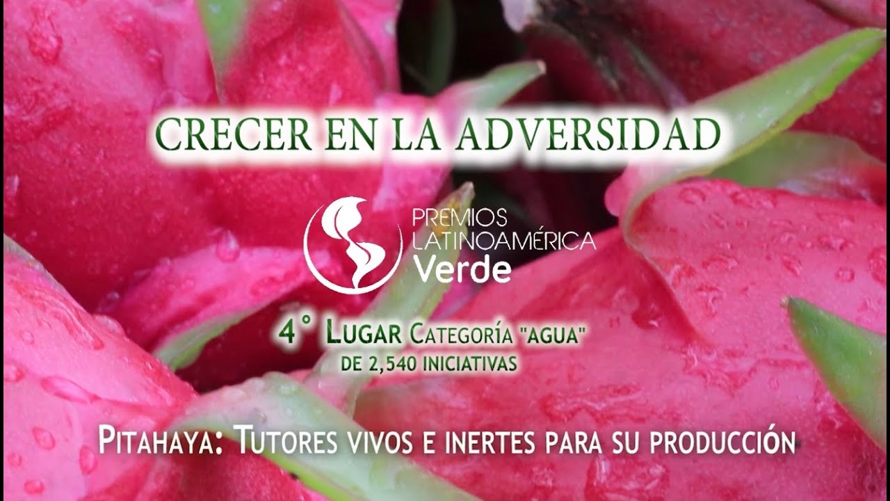Pitahaya: Tutores Vivos e Inertes para Producción | Dr. Raúl Nieto Angel