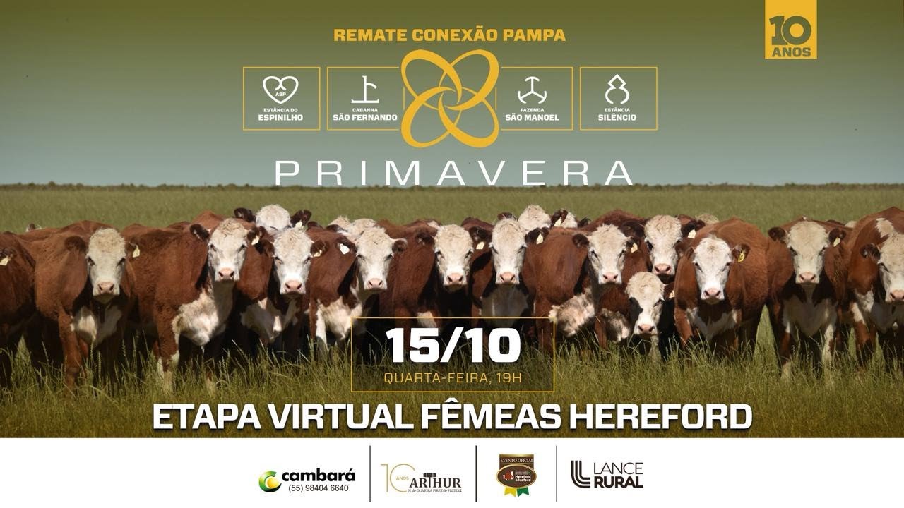 Conexão Pampa – Virtual Fêmeas Hereford