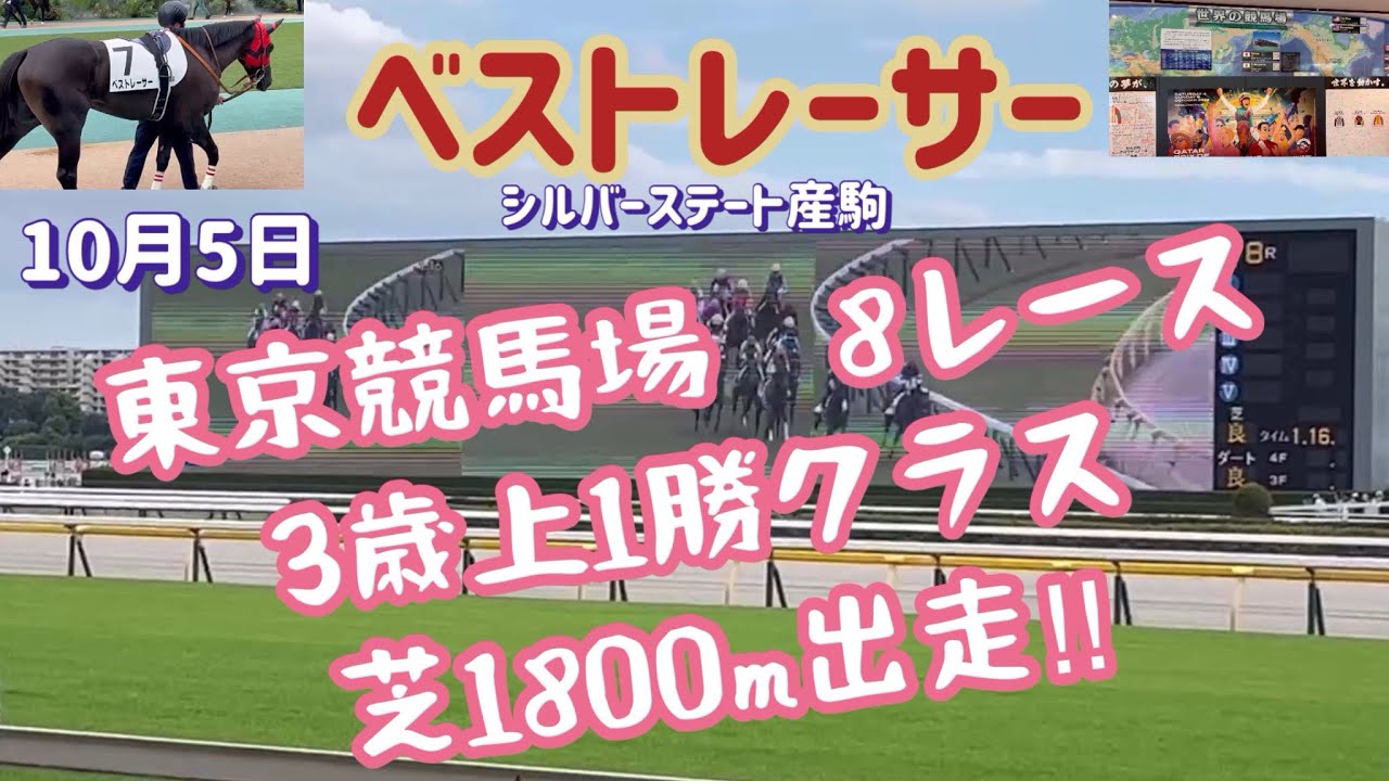 [競馬・馬主]JRAベストレーサー　10月5日東京競馬1勝クラス芝1800m出走！控える競馬で‼︎