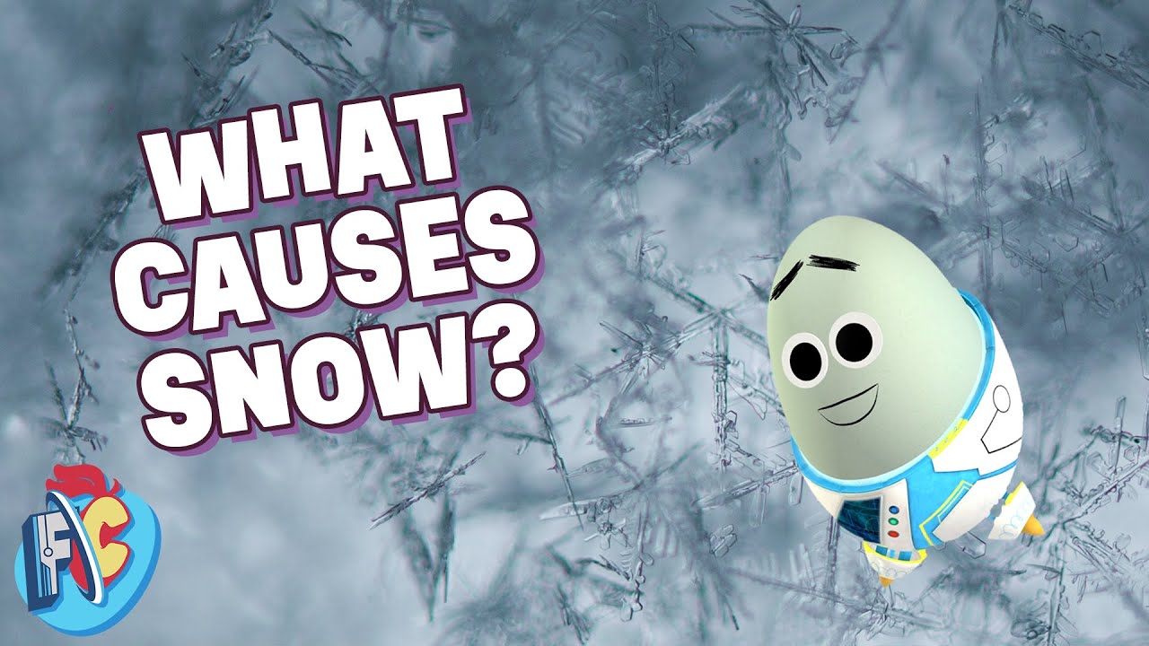 What causes snow? | Future Chicken