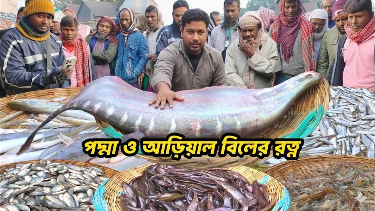 রমজানে, পদ্মা নদী ও বিলের মাছে জমজমাট দোহার মৈনট ঘাট মাছের আড়ৎ। Dohar fish market. 