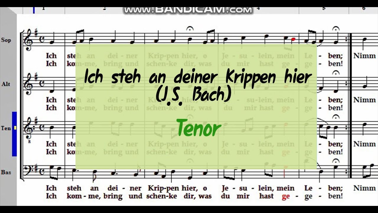 Ich steh an deiner Krippen hier - Bach (Tenor)