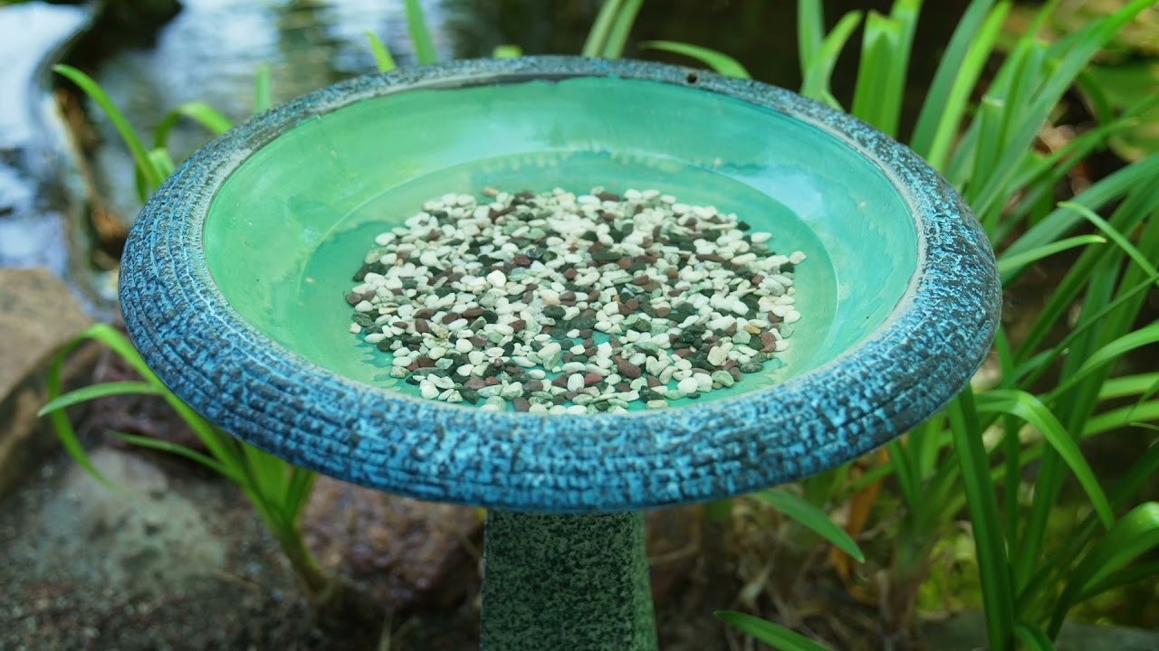The Garden Gurus - Benefits of Birdbaths