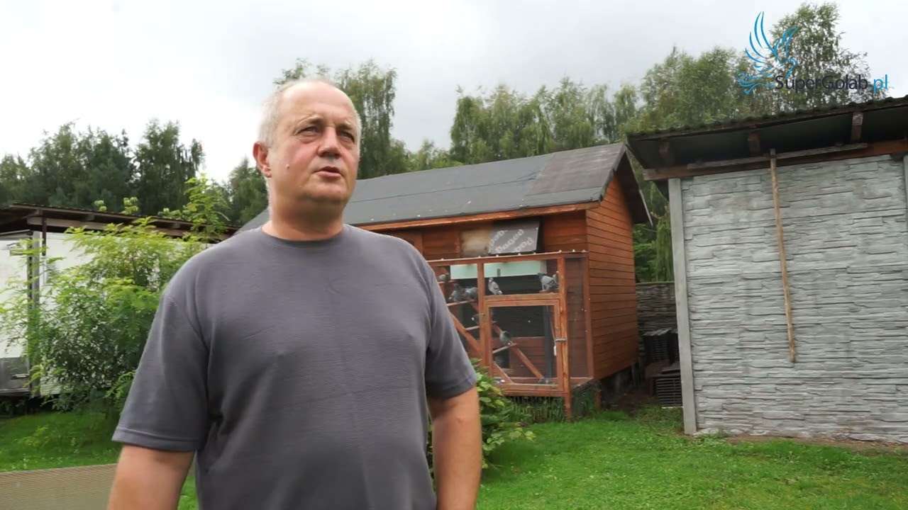 Piotr Rutkowski   czyżby przyszły Mistrz  Polski GMP gołębi młodych?