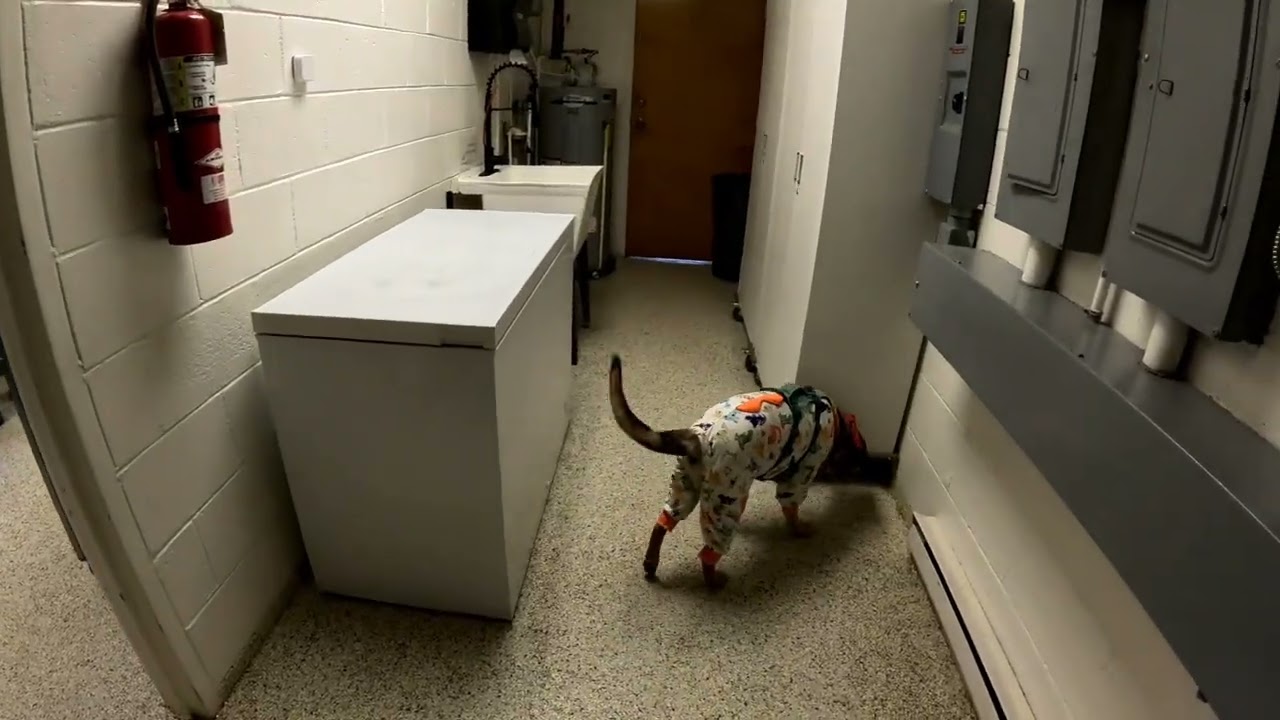 ELT-S - Kitchen (Search 2) - Denton, MD