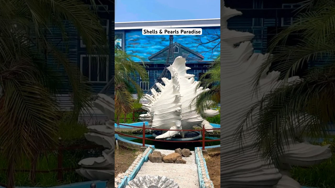 Sea Shell Museum Mahabalipuram | Incredible Shells, Pearls & Dinosaur Fun for Kids!