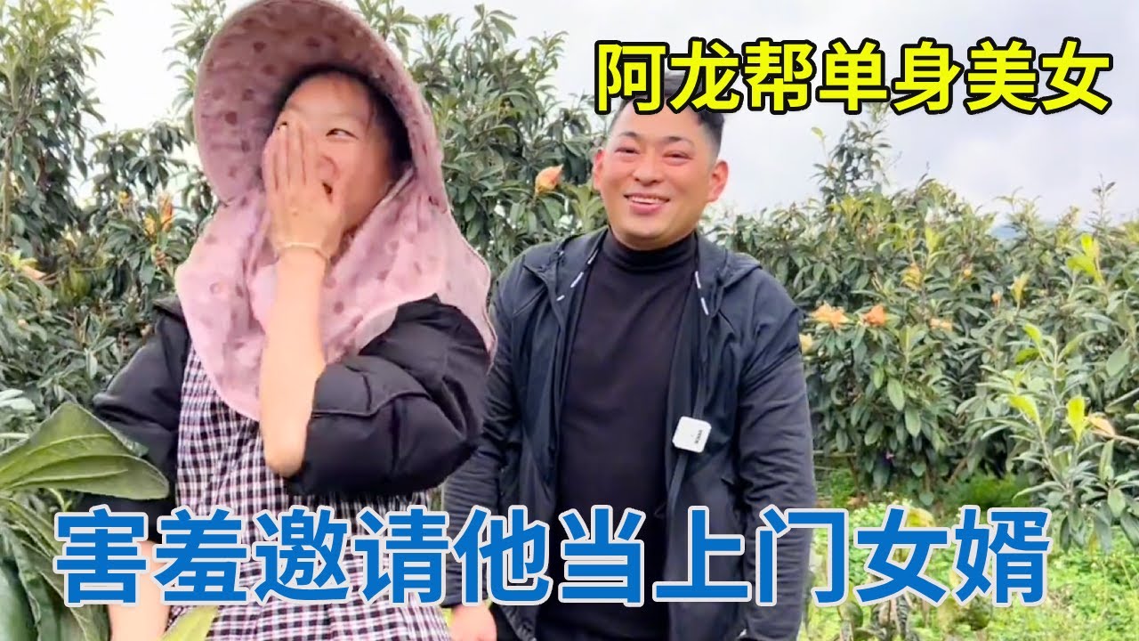 单身美女被阿龙热情帮忙装枇杷，害羞的脸都红了，立马邀请阿龙当上门女婿【阿龙游四方】