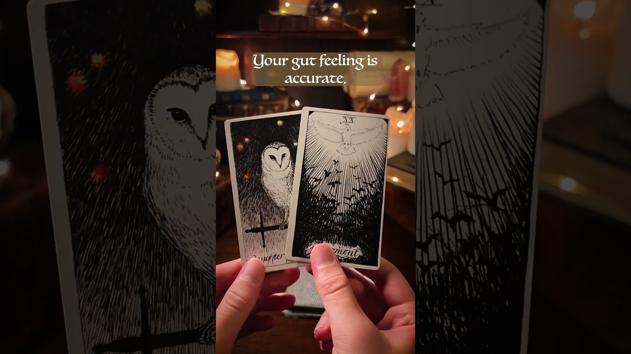 Advice You Need Right Now | #tarot #tarotreading #tarotguidance