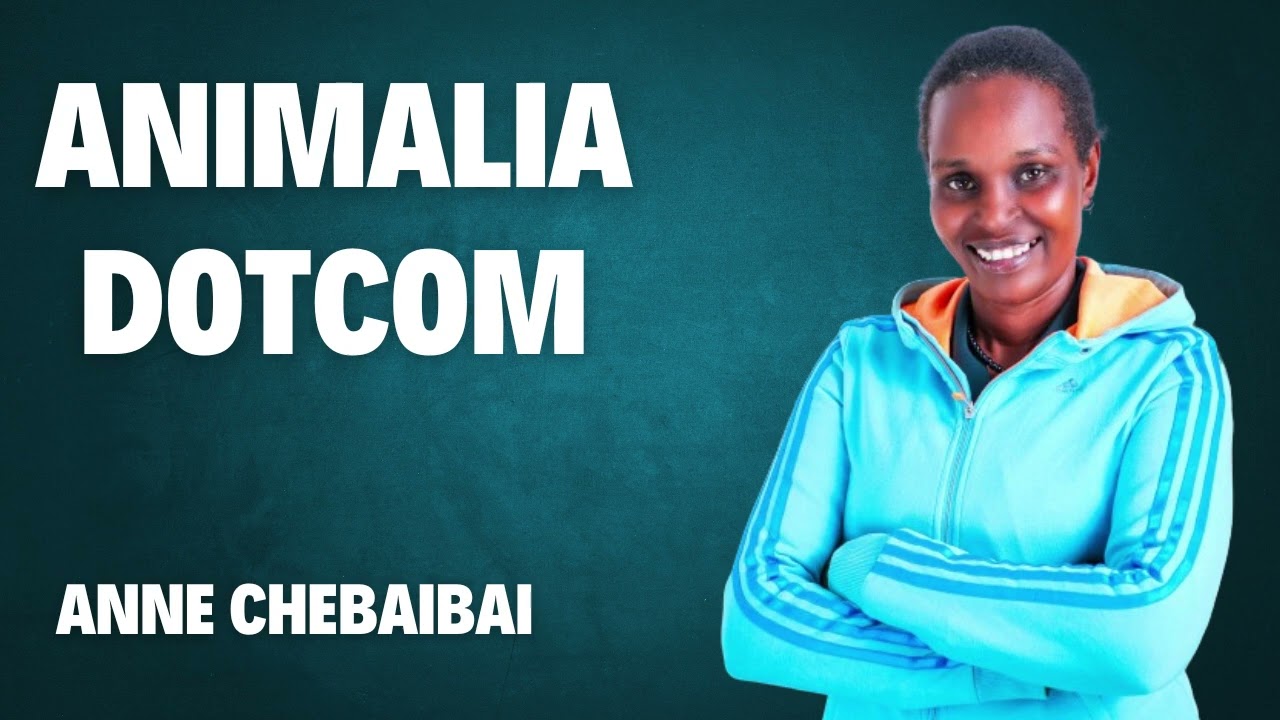 ANNE CHEBAIBAI~ ANIMALIA DOTCOM