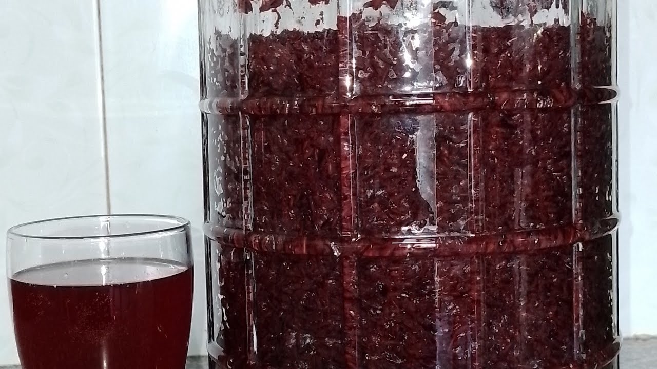 Cách Ngâm Rượu Nếp Cẩm ( Nếp Thang) - Uống Tốt Sức Khỏe - Giảm Cân - Đẹp Da •|Út Thúy Vlog|