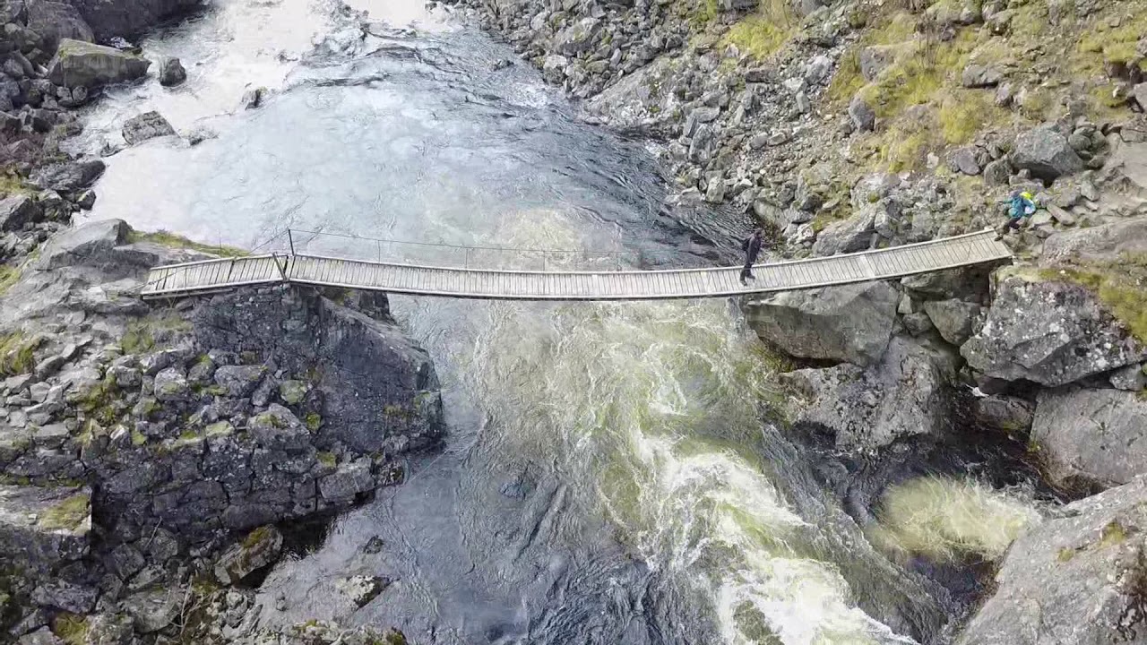Dyranut og Vøringsfossen i Hardanger