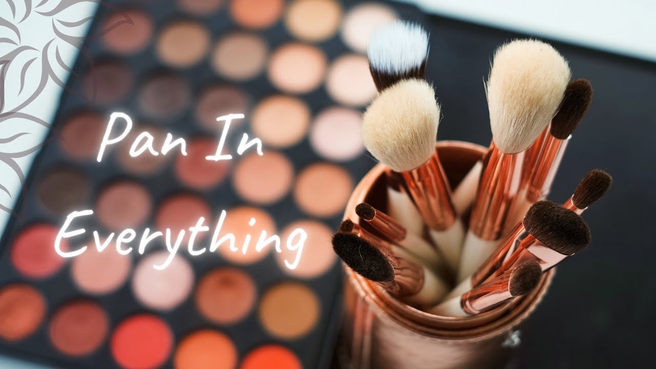 Pan In EVERYTHING! | I Hit A Pan! :D