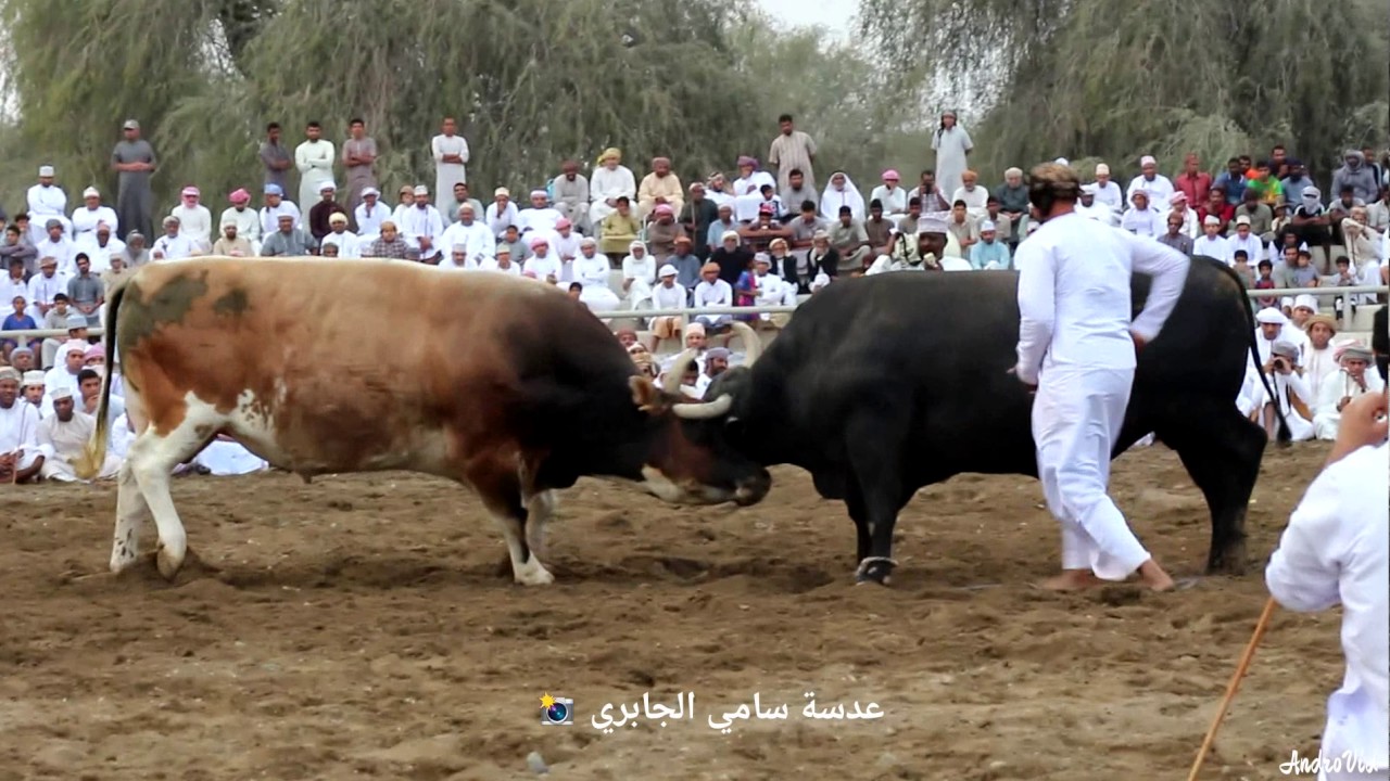 نار الجماهير و مرسال عدسه سامي الجابري
