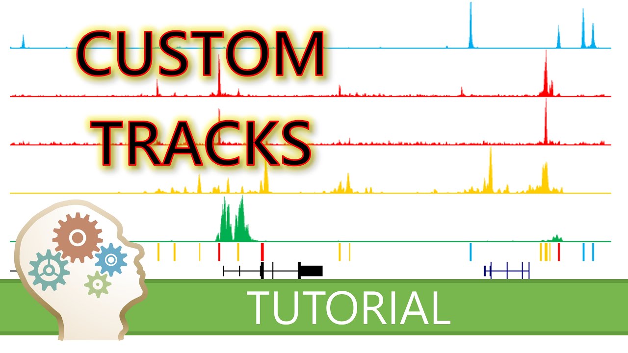 MAKE YOUR GENOMIC DATA LOOK STUNNING WITH THE UCSC GENOME BROWSER - The Secrets Of Custom Tracks!