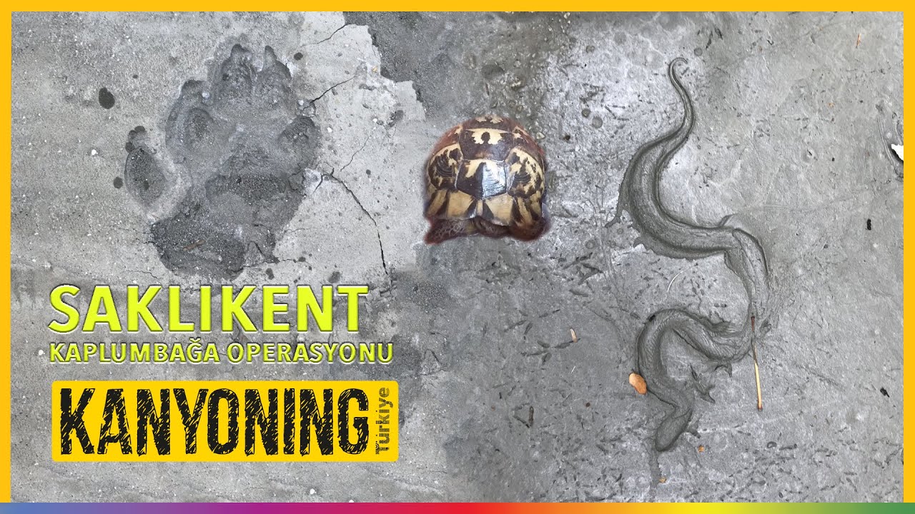 Saklıkent Kanyonu yüksek su debisinde geçiş. / Ağustos 2019