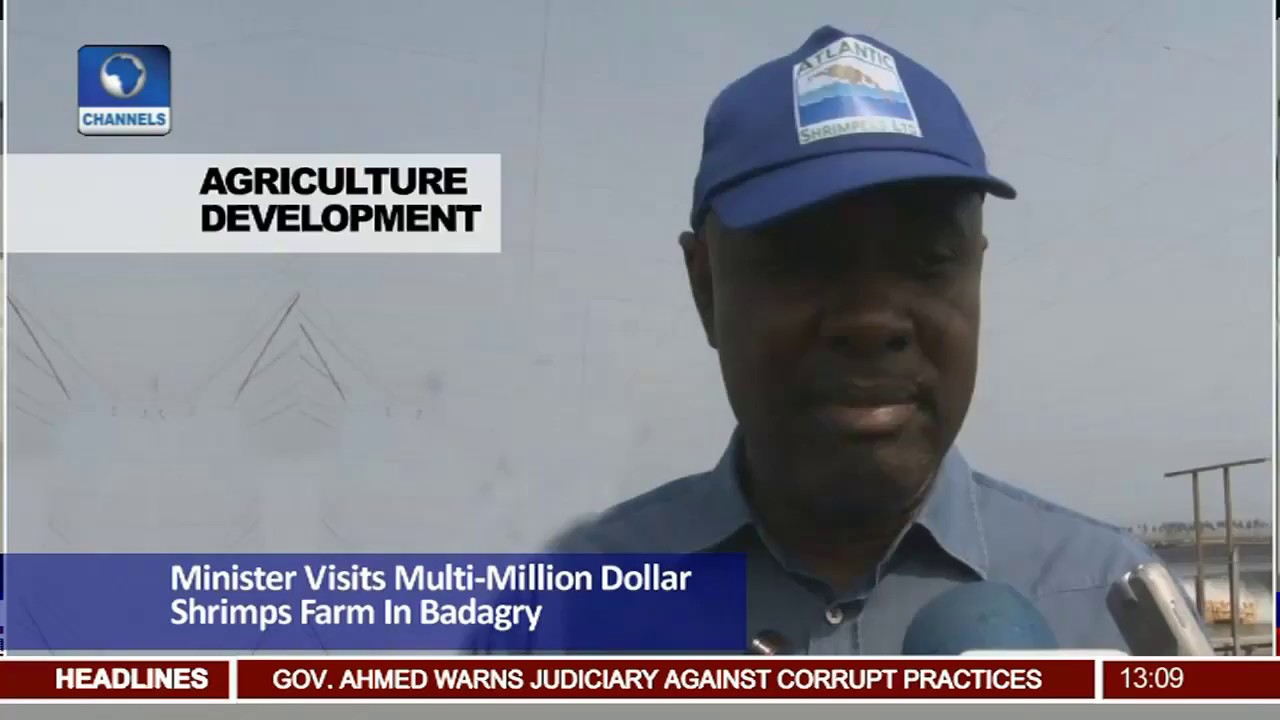 Minister Visits Multi million Dollar Shrimps Farm In Badagry