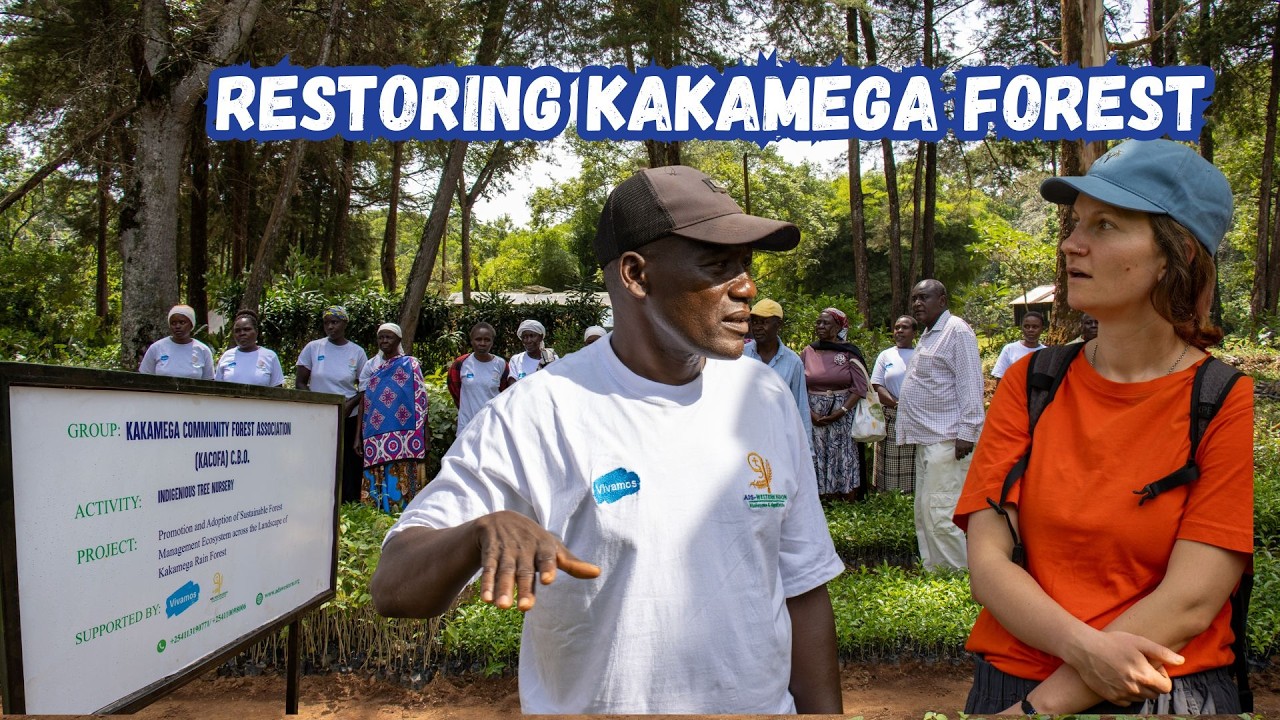 Progress in Rehabilitating 30 Acres of the Kakamega Rainforest Kakamega from a Community Perspective