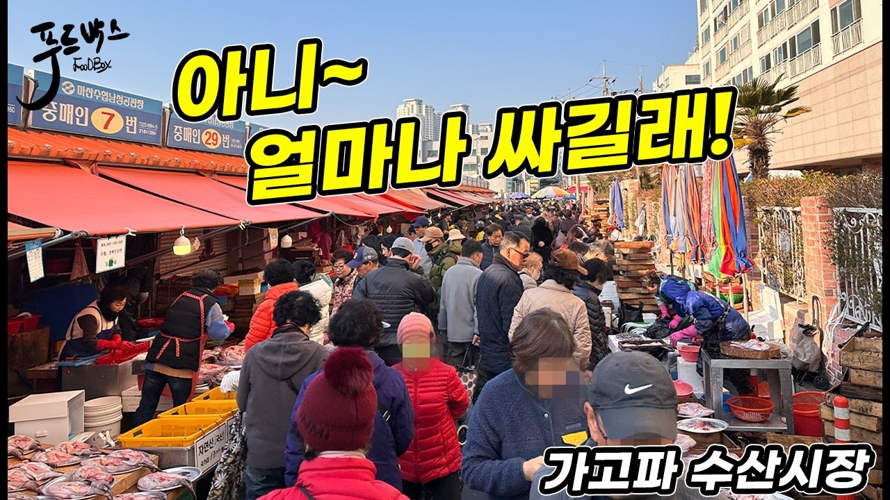 그냥 만원어치달라하면~😱   이른 아침부터 이렇게 많은 사람들이 모인  이유는?  [가고파 수산시장]