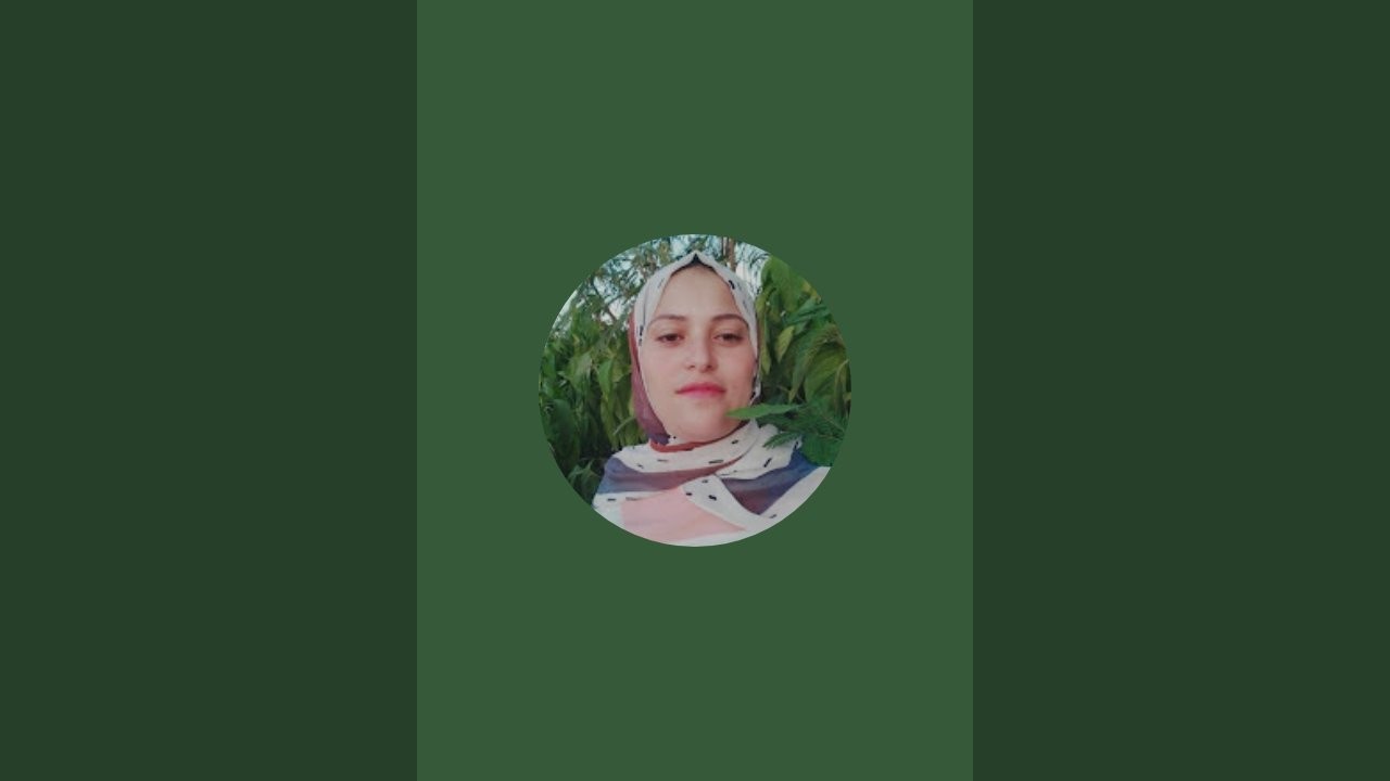 بدأت قناة 