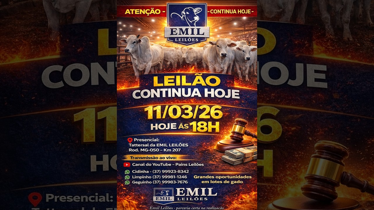 130º Leilão Virtual - EMIL Leilões - Capitólio/Piumhi - MG