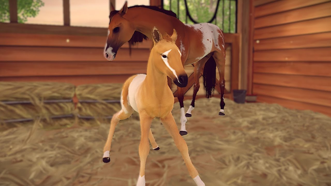 NOWA RASA AHAŁ-TEKIŃSKA W RIVAL STARS HORSE!