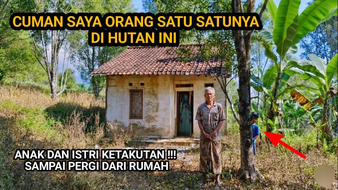 PLEASE INI SEREM!! PILIH BERTAHAN HIDUP SENDIRI DI HUTAN ANGKER 25 TAHUN TANPA TENTANGGA