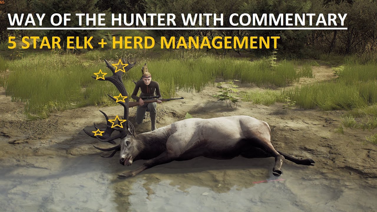 5 star elk! + Herd management