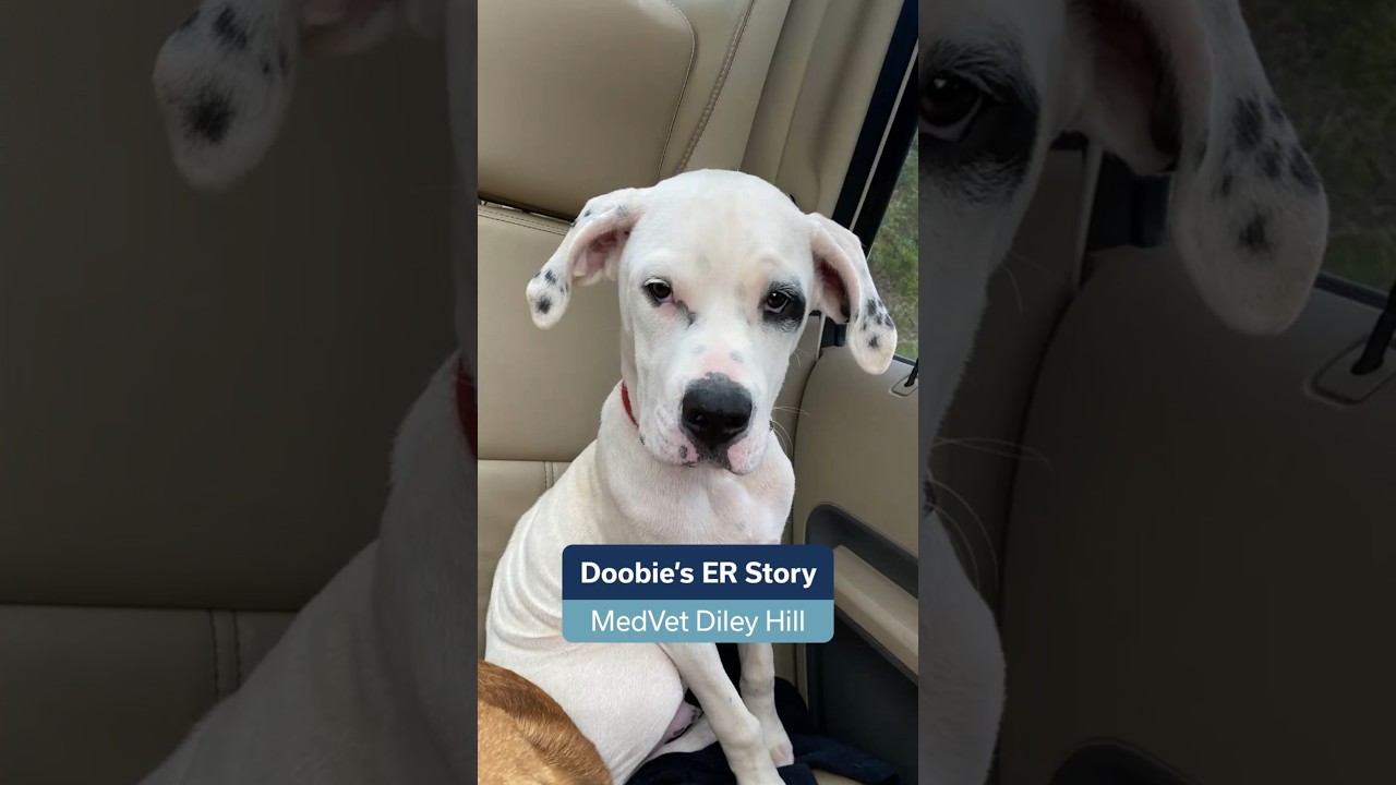 Tales from the ER: Doobie's Story