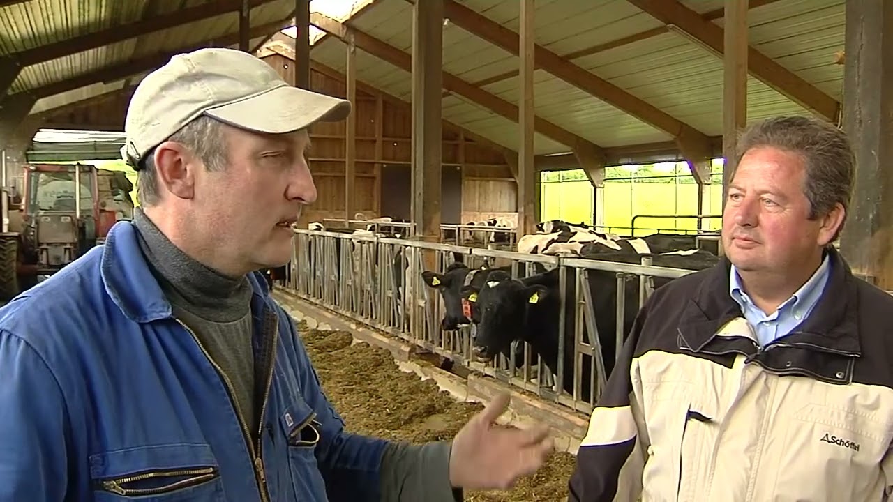 F. B, Zell Aktiv GmbH   Landwirtschaftliche Betriebe 01