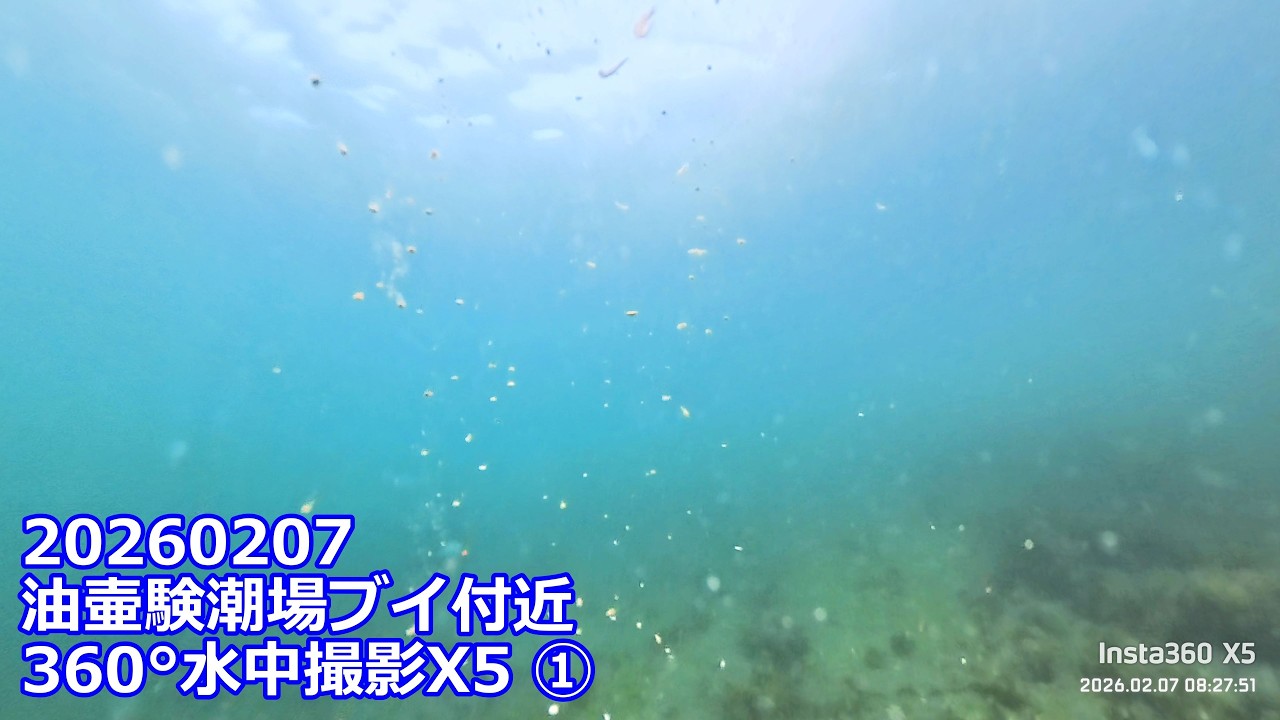 20260207X5①油壷験潮場ブイ付近360°水中撮影(08:12:21～08:43:03)チャプター付き